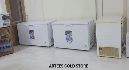 Cold storage — freezers